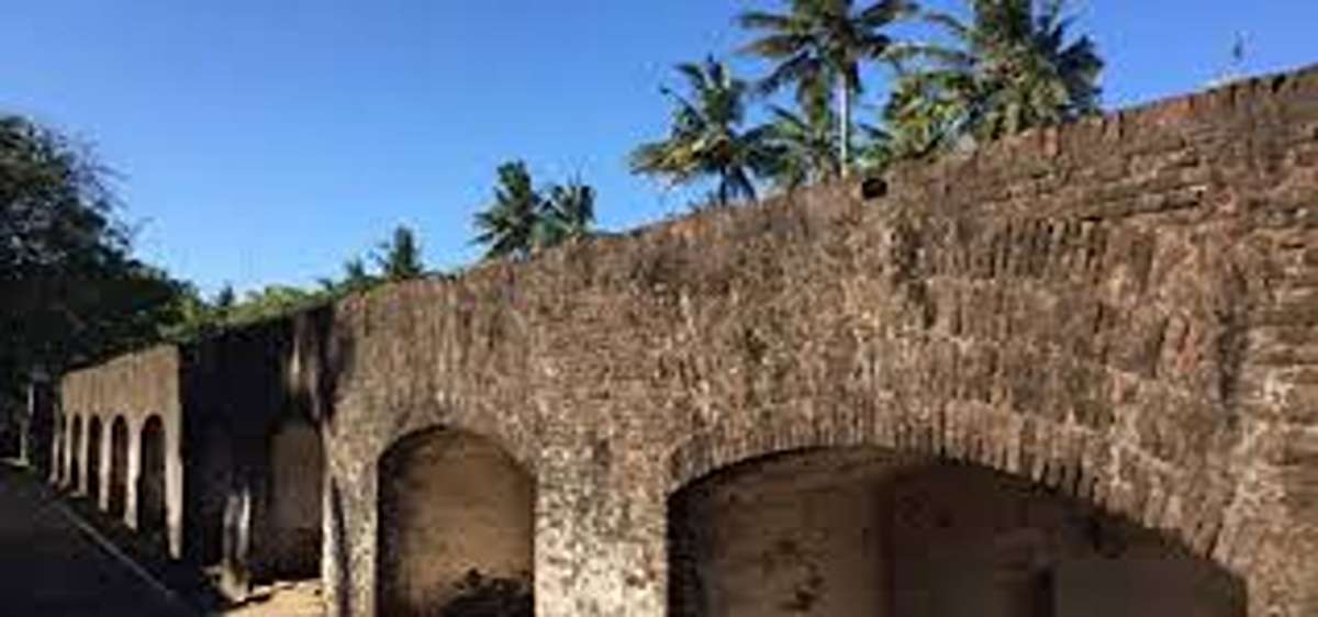 Kekinian dan Menarik! Wisata Seru Cilacap 2025, Tak Boleh Dilewatkan Saat Liburan Tiba