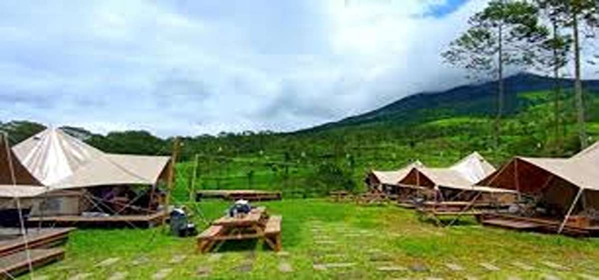 Keren dan Populer! 8 Tempat Camping Asyik dan Nyaman Tegal 2025, Liburan Seru Paling Sejuk di Alam Terbuka