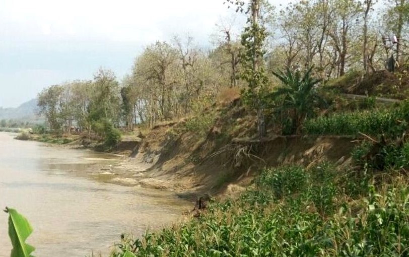 Lahan Pertanian Menyempit, Warga Bantarkawung Brebes Minta Penanganan Abrasi Sungai Pemali