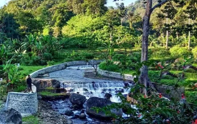 Keindahan Wisata Terbaru 2024 Hutan Nongko Ijo Madiun? Surga Tersembunyi yang Menunggu untuk Dikunjungi 