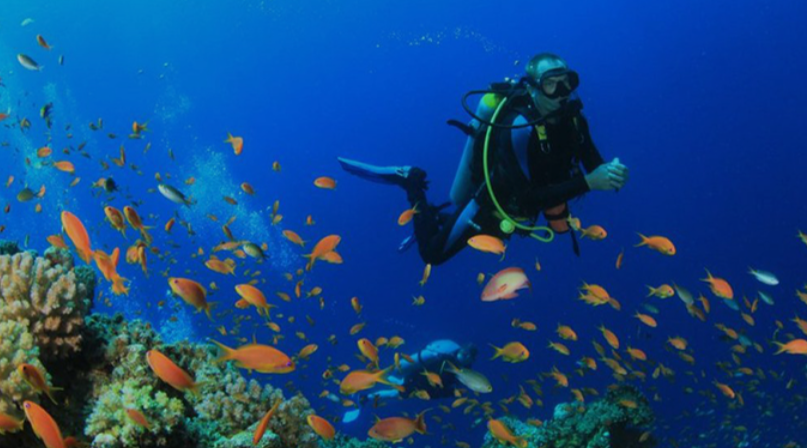 Spot Diving Terindah di Pulau Jawa? Wisata Terbaru 2024 Pesonanya Eksotis, Dijamin Takjub! Ini Spotnya
