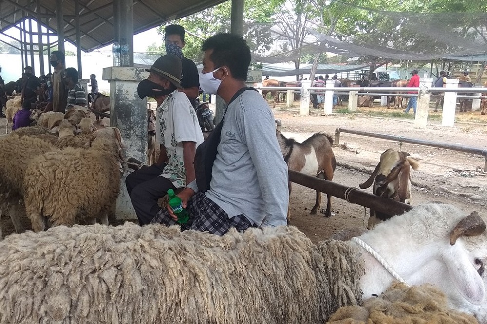 Usai Idul Adha, Harga Sapi dan Kambing di Brebes Masih Tinggi