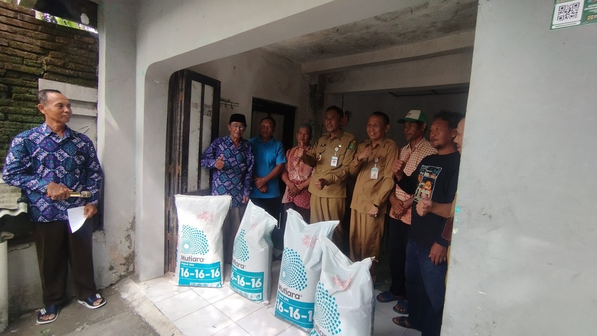 167 Petani Bantul Ubah Pasir Jadi Lumbung Bawang Merah