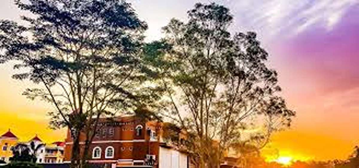 Unik dan Asyik! Daftar Cafe Hits Batam 2025, Dijamin Cozy Untuk Nongkrong dan Ngopi