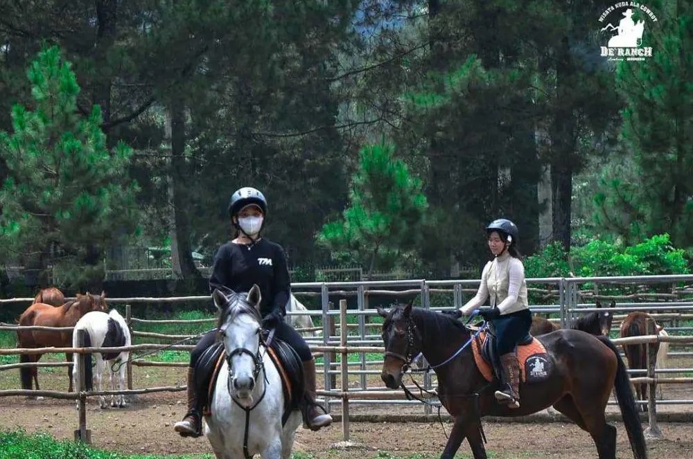 Rekomendasi Tempat Berkuda di Bandung, Rasakan Pengalaman Baru Dijamin Jauh dari Kesan Membosankan