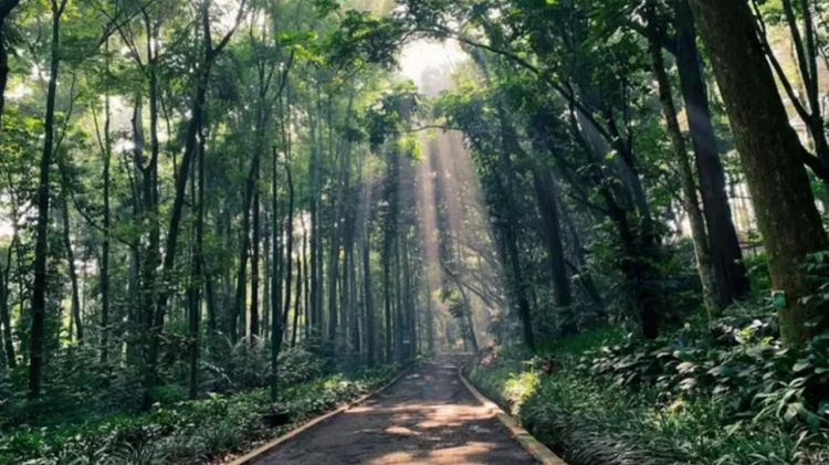 Destinasi Seru dan Menyegarkan untuk Liburan Akhir Pekan yang Penuh Inspirasi di Dago Bandung