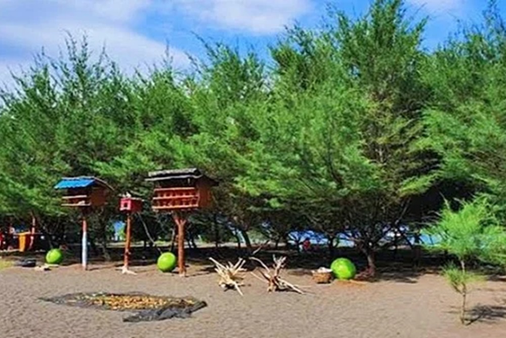 7 Wisata Dekat Stasiun Banyuwangi Paling Menarik dan Mudah Dijangkau, Hadirkan Pengalaman Seru