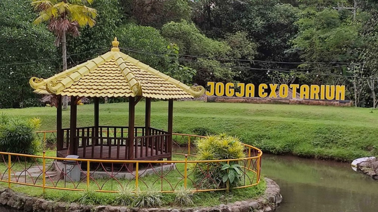 Serunya Berinteraksi dengan Satwa Langsung! Dapatkan Promo Diskon Tiket Jogja Exotarium Mini Zoo Sleman 