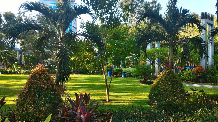 Destinasi Wisata Gratis di Surabaya ini Solusi Liburan Sekolah Hemat dan Ceria