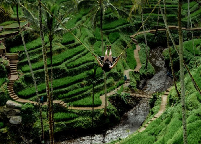 Alas Harum Gianyar, Destinasi Wisata Terbaru 2024 Bali, Terkenal Sebagai Your Perfect Escape With The View