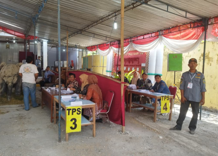Meriah Bak Rasulan, Pilur Watugajah Gunungkidul Jadi Pesta Demokrasi Warga