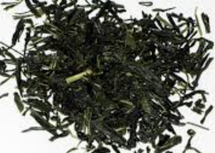 Lebih dari Sekadar Matcha, Ini Rekomendasi Varian Teh Hijau Jepang Paling Lezat