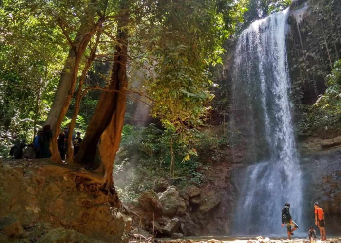 8 Destinasi Wisata Purwodadi Terfavorit, Banyak Pemandangan Alam Indah dan Spot Menarik