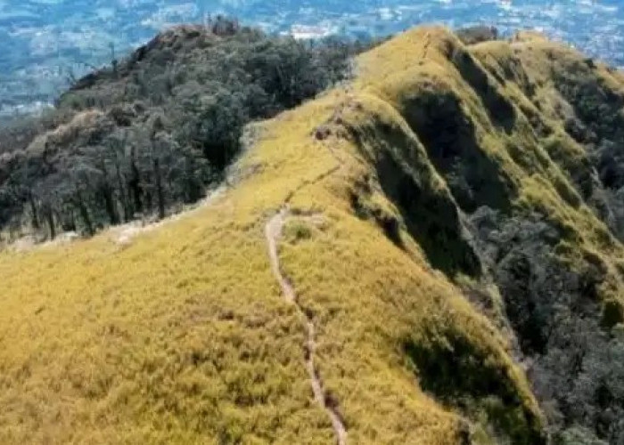 Hiking di Wisata Terbaru 2024 Gunung Ungaran? Simak 4 Jalur Pendakian, Nomor 4 Paling Populer