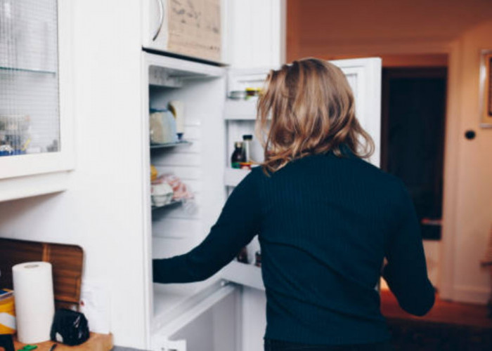 Bahan Makanan Mudah Busuk, Simak Cara Memperbaiki Pintu Merek Kulkas Terbaik Yang Sudah Kendor