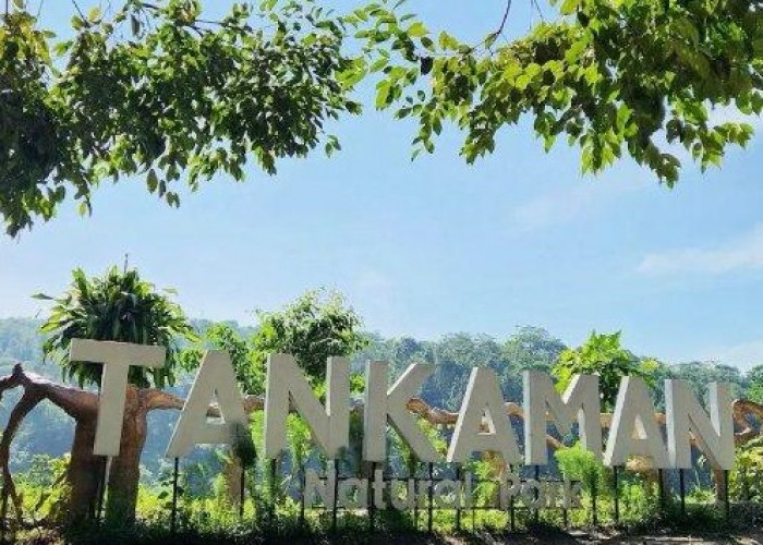 Wisata Terbaru 2024: Bersepeda dengan View Alam Udara Sejuk Tankaman Natural Park