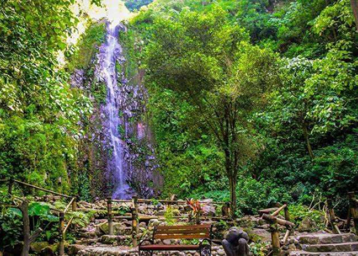 Air Terjun di Tlogo Muncar; Rekomendasi Suara Gemuruh Air yang Sempurna untuk Relaksasi