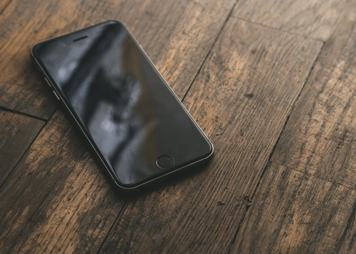 3 Cara untuk Mengecek IMEI iPhone Terdaftar atau Tidak di Website Bea Cukai