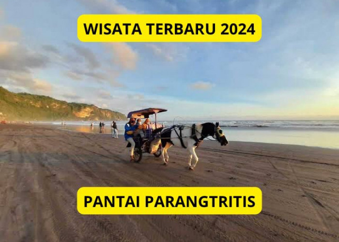 Wisata Terbaru 2024 Jogja Pantai Parangtritis? Pesona Pantai Legendaris Populer, Dengan View Magis dan Estetis