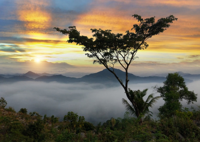 4 Wisata Terbaru 2024 Perbukitan Jawa Timur yang Memiliki Pemandangan Indah, Cocok Untuk Libur Lebaran