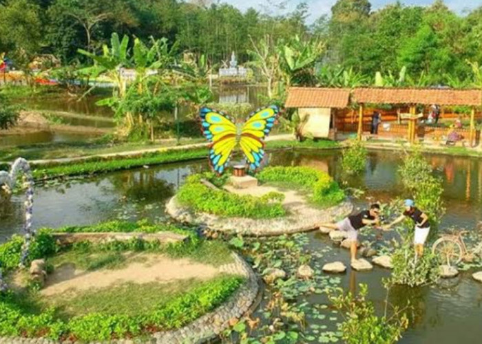 Wisata Terbaru 2024 Kampung Flory: Pesona, Tiket Masuk, Fasilitas hingga Rute Perjalanan