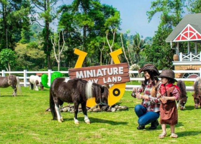 Tidak Hanya Edukasi Tapi Bisa Jadi Tempat Wisata Juga Rekreasi di Bogor, Simak Ulasan Lengkapnya Disini