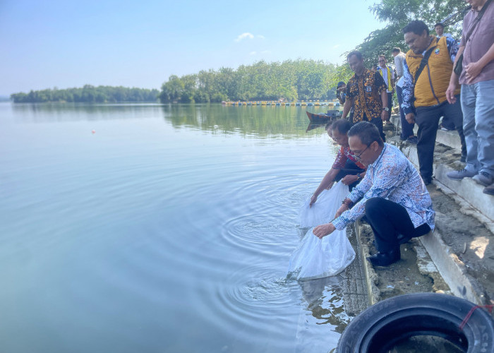 Pengelolaan Budidaya Ikan Air Tawar Waduk Malahayu Jadi Jujugan Studi Tiru Kabupaten Sumedang
