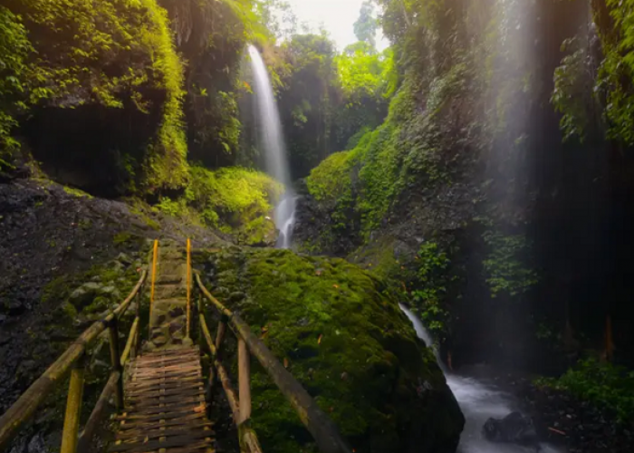 Sangat Rekomendasi Jadi Destinasi Penyegar Penat di Lembang Bandung, Simak Ulasan Lengkapnya Berikut Ini