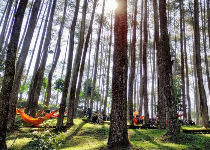 Deretan Wisata Menarik di Bandung Timur, Sejuk, Nyaman dan Terjangkau Cek Informasi Lengkapnya