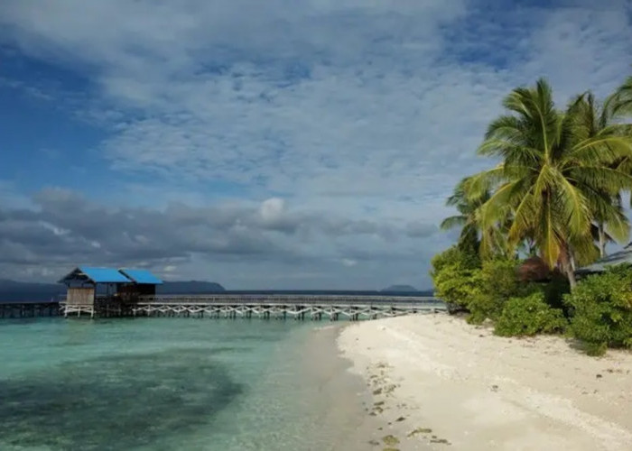 Deretan Pantai di Raja Ampat dengan Pesona Alam Bikin Jatuh Cinta, Pas Buat Liburan Santai atau Petualangan