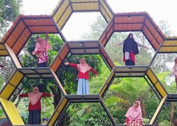 Harga Tiket Masuk Kaliurang Park Juni 2026, Wisata Petualangan di Jogja
