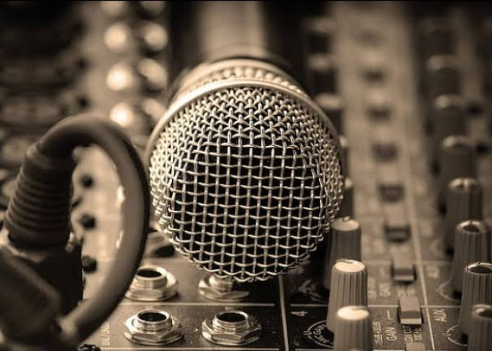5 Merek Mikrofon Yang Biasa Digunakan Vokalis Band
