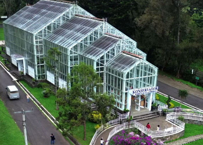 Kesejukan Kebun Raya Cibodas, Update Harga Tiket dan Rekomendasi Aktivitas Seru 2026