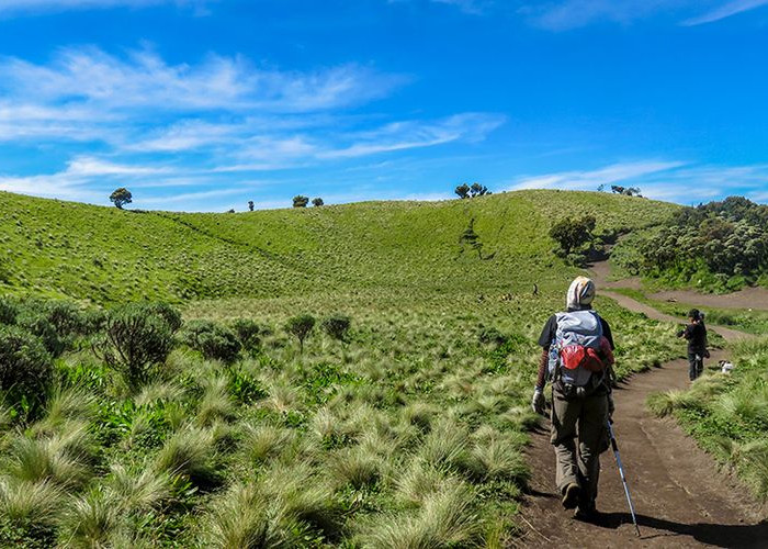 5 Jalur Pendakian Wisata Terbaru 2024 Gunung Merbabu, Tawarkan Sensasi Sejuknya Alam di Puncak Kenteng Songo