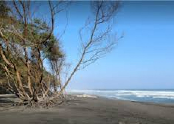 Pantai Goa Cemara Cantik dan Romantis di Bantul, Menjelajah Keindahan Tempat Liburan Akhir Tahun Tersembunyi