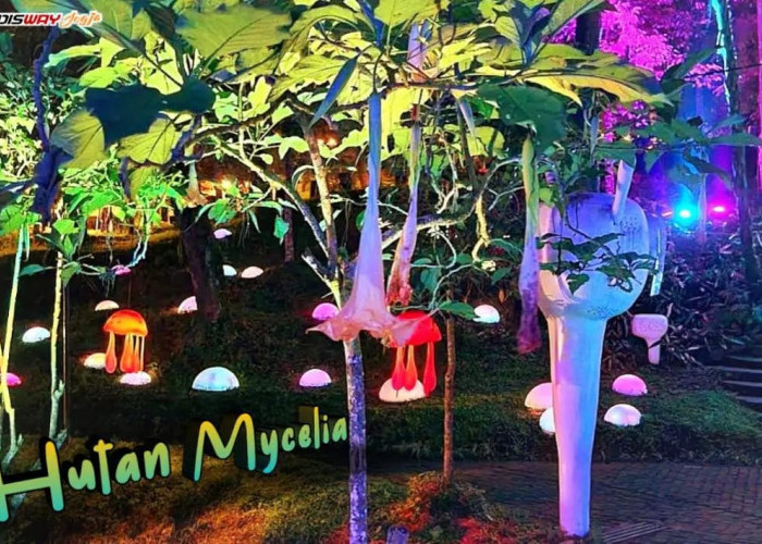Seru Abis, Wisata Terbaru 2024 Hutan Mycelia Bandung Suguhkan Suasana Gemerlap Malam Romantis Simak Ulasannya