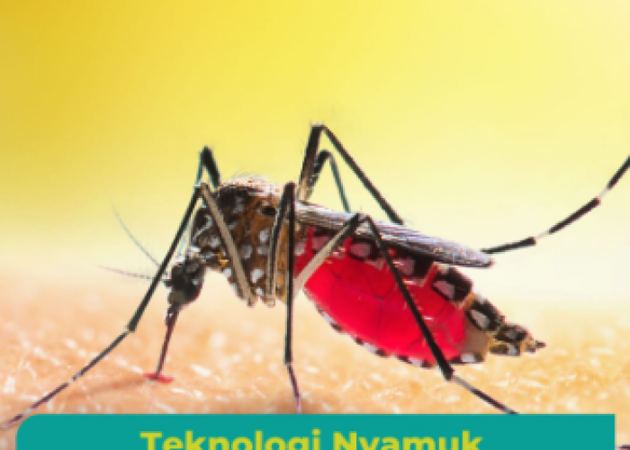 Mengenal Nyamuk Wolbachia, Teknologi Biologis untuk Pengendalian Nyamuk DBD