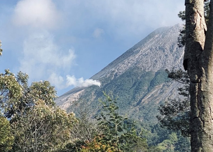 Titik Api Kembali Terpantau di Lereng Merapi, TNGM: Asap Mulai Mengecil