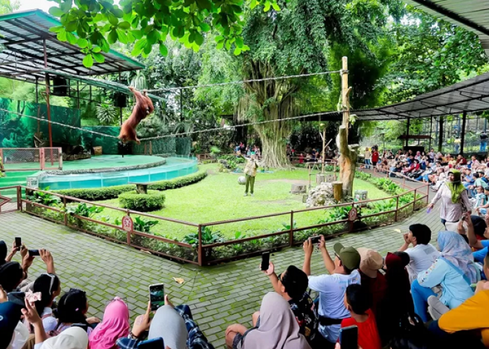 Menjelajahi Pesona Satwa Gembira Loka Zoo Untuk Wisata Libur Lebaran 2026 