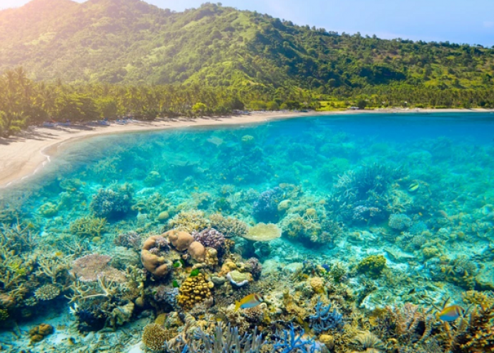 Destinasi Wisata Unggulan di Indonesia Pilihan Sandiaga Uno Paling Wajib Masuk Bucket List Liburan