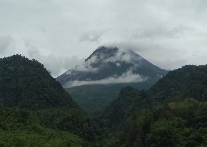   Pendakian Ilegal Gunung Merapi Marak, Balai TNGM Catat 60 Pendaki Terjaring