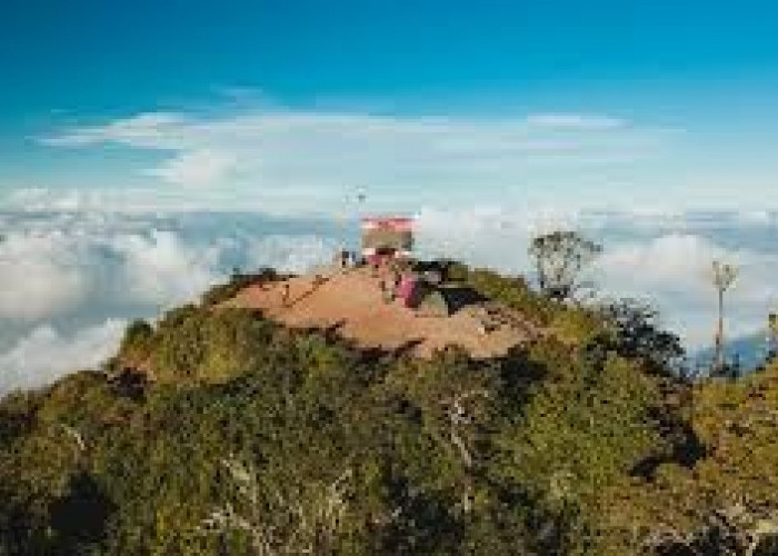 Wisata Terbaru 2024 Gunung Cikuray: Simak Lokasi, Rekomendasi Jalur Pendakian, HTM-nya Disini