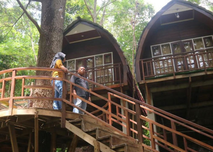 Nikmati Liburan Wisata Pijar Park Kudus di Hutan Pinus Lereng Muria