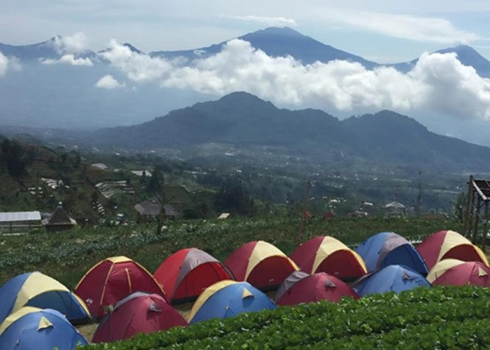 Rekomendasi Wisata Magelang yang Bisa Jadi Spot untuk Menikmati Lautan Awan, Simak Disini