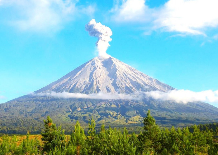 Panorama Alam Wisata Terbaru 2024 Gunung Merapi? Simak Daya Tarik dan Tips Berkunjung ke Merapi