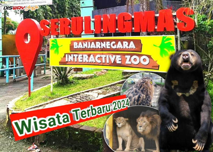 Semakin Ramai, Wisata Terbaru 2024 Serulingmas Zoo di Banjarnegara Sediakan Berbagai Jenis Satwa Menarik