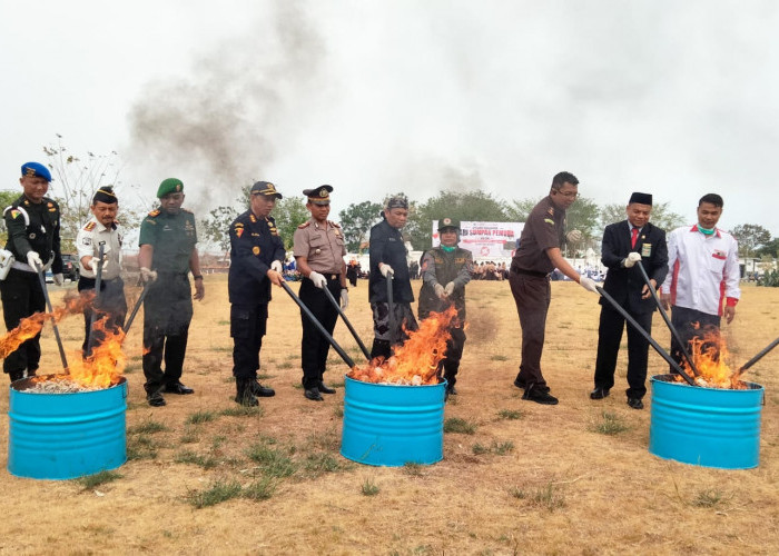 Pemkab Brebes-Bea Cukai Tegal Musnahkan Rokok Ilegal Senilai Rp 7.93 Miliar Dengan Cara Dibakar