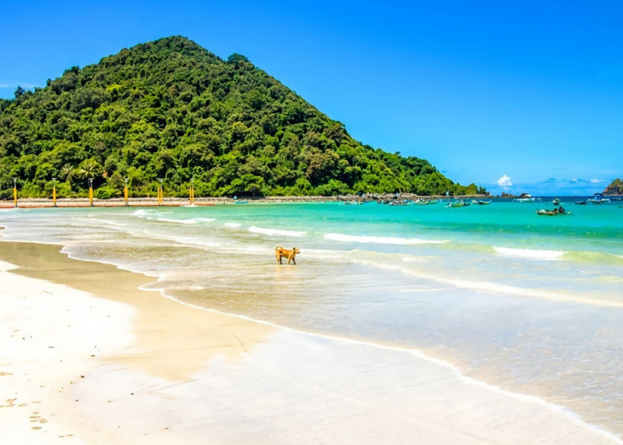 Wisata Pantai Selong Belanak: Pengalaman Berlibur yang Tenangkan Jiwa, Simak Lengkapnya Disini