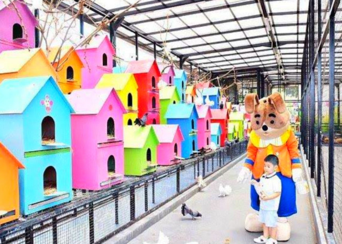 7 Daya Tarik Wisata Terbaru 2024 Rabbit Town Bandung, Cocok Untuk Edukasi si Kecil