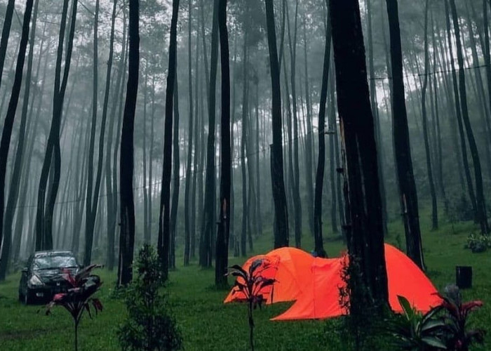 Wisata Terbaru 2024 Cocok untuk Camping? Salah Satunya yaitu Bukit Gambangan